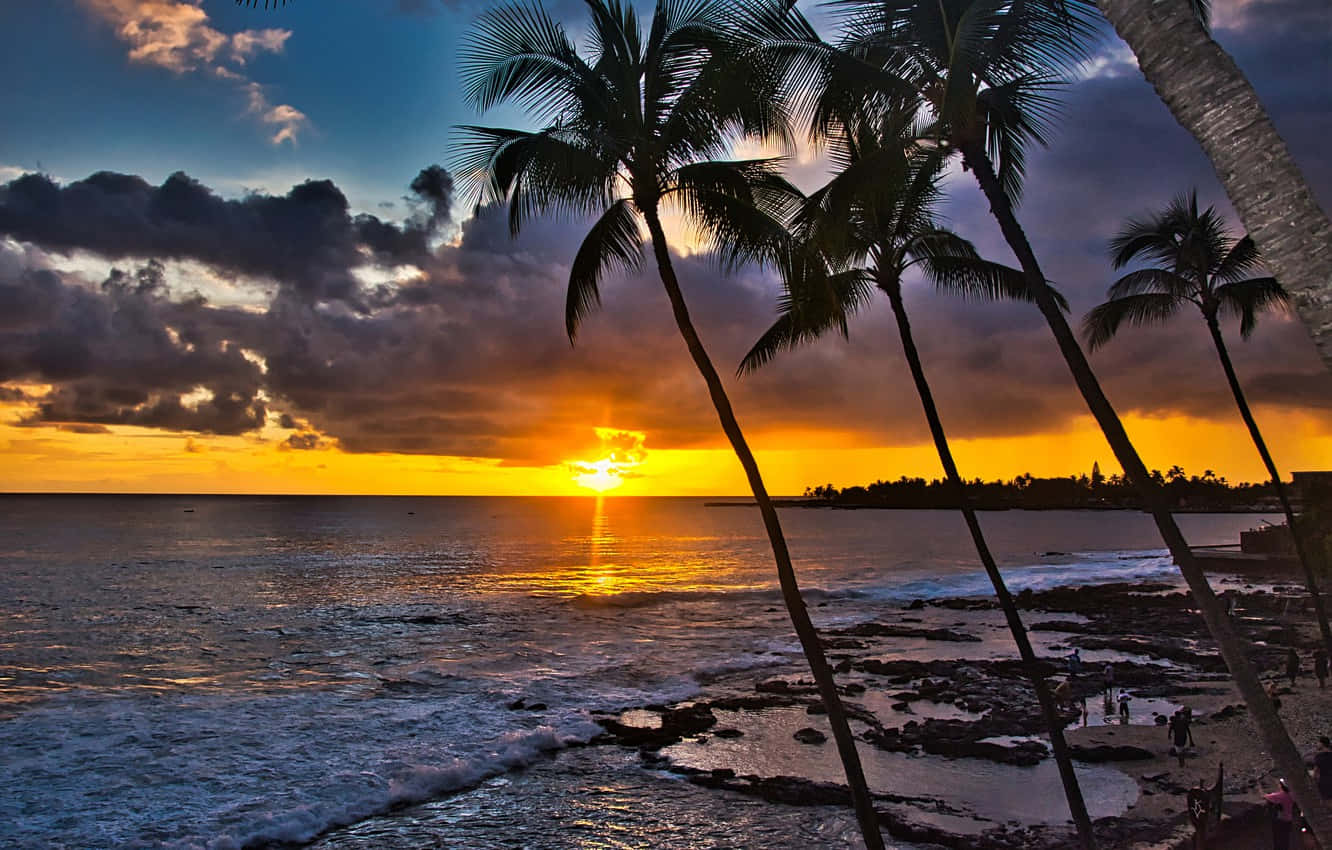 Nyd en smuk solnedgang over de hawaiianske himmel. Wallpaper
