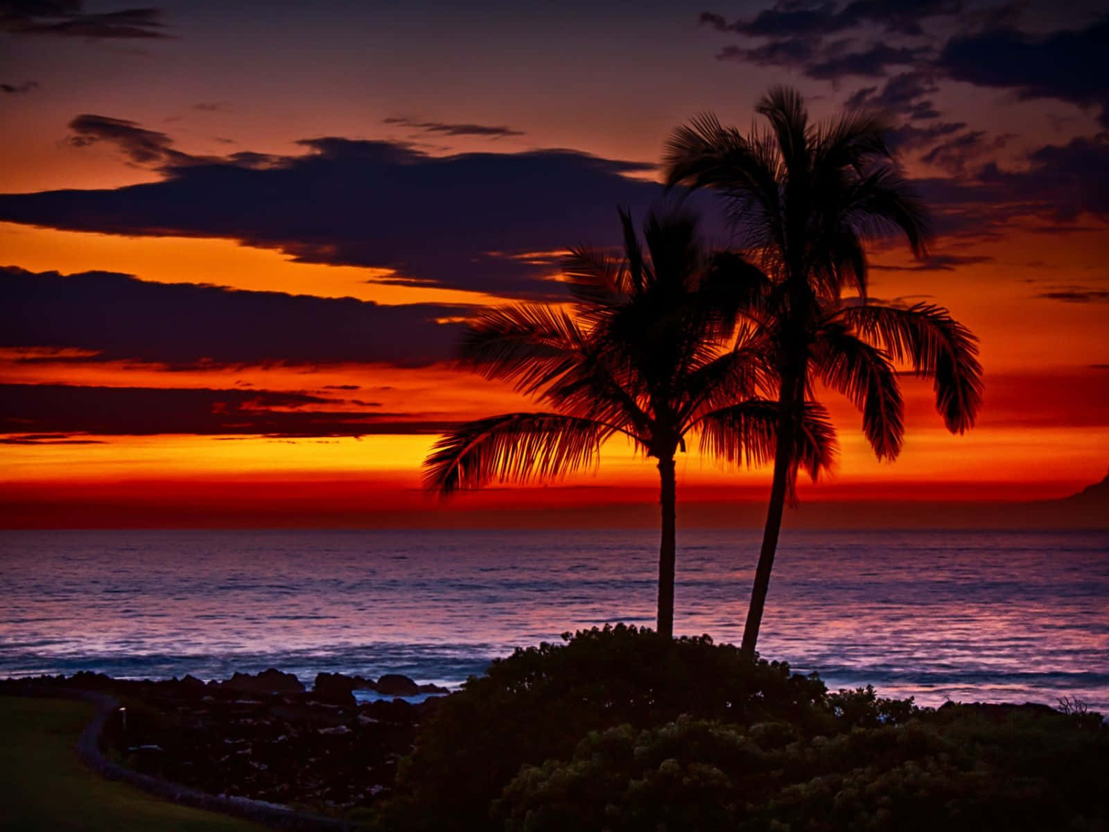 Contemplauna Mágica Puesta De Sol Sobre Hawái. Fondo de pantalla