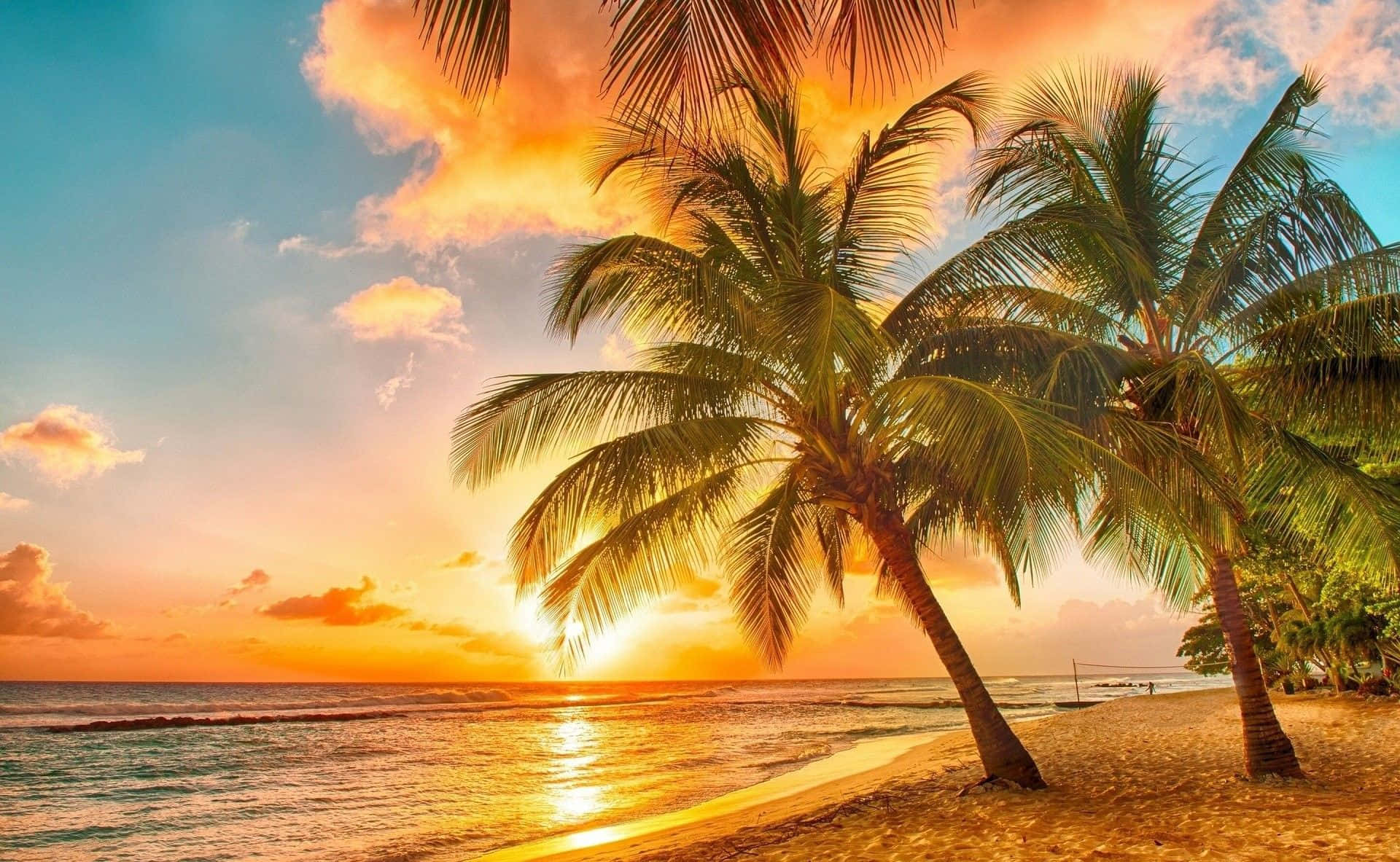 Nyd en smuk hawaiisk solnedgang udenfor dit vindue. Wallpaper