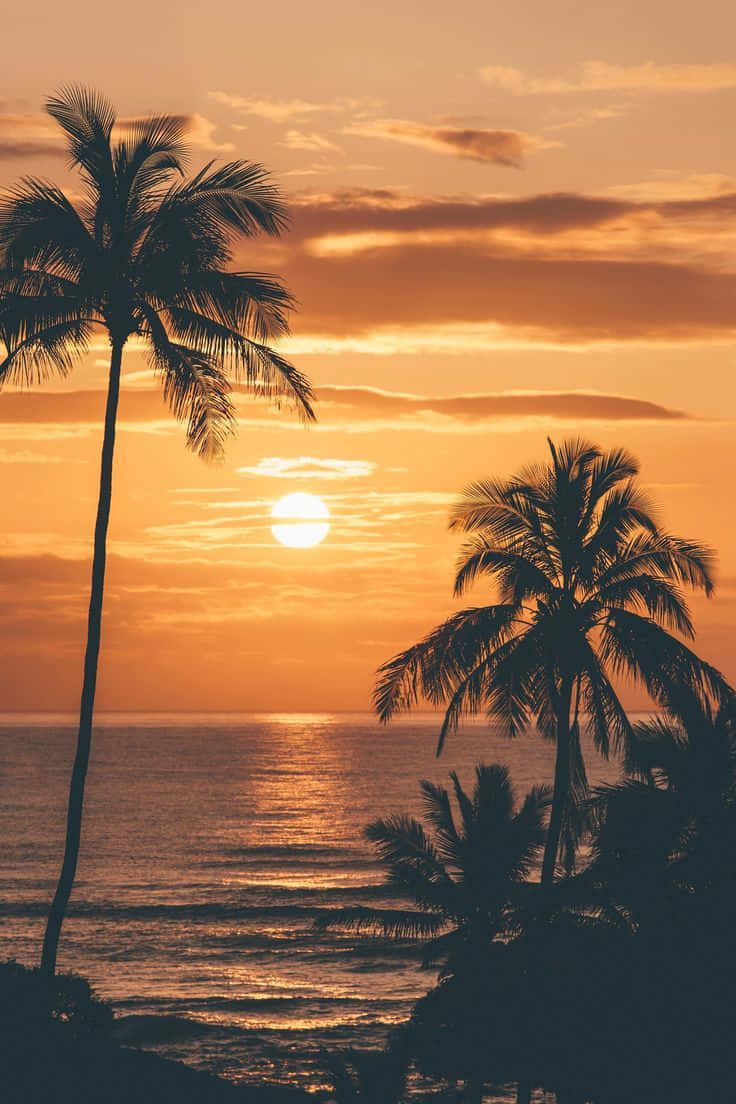 Billede Nyder Hawaiis smukke solnedgang Wallpaper