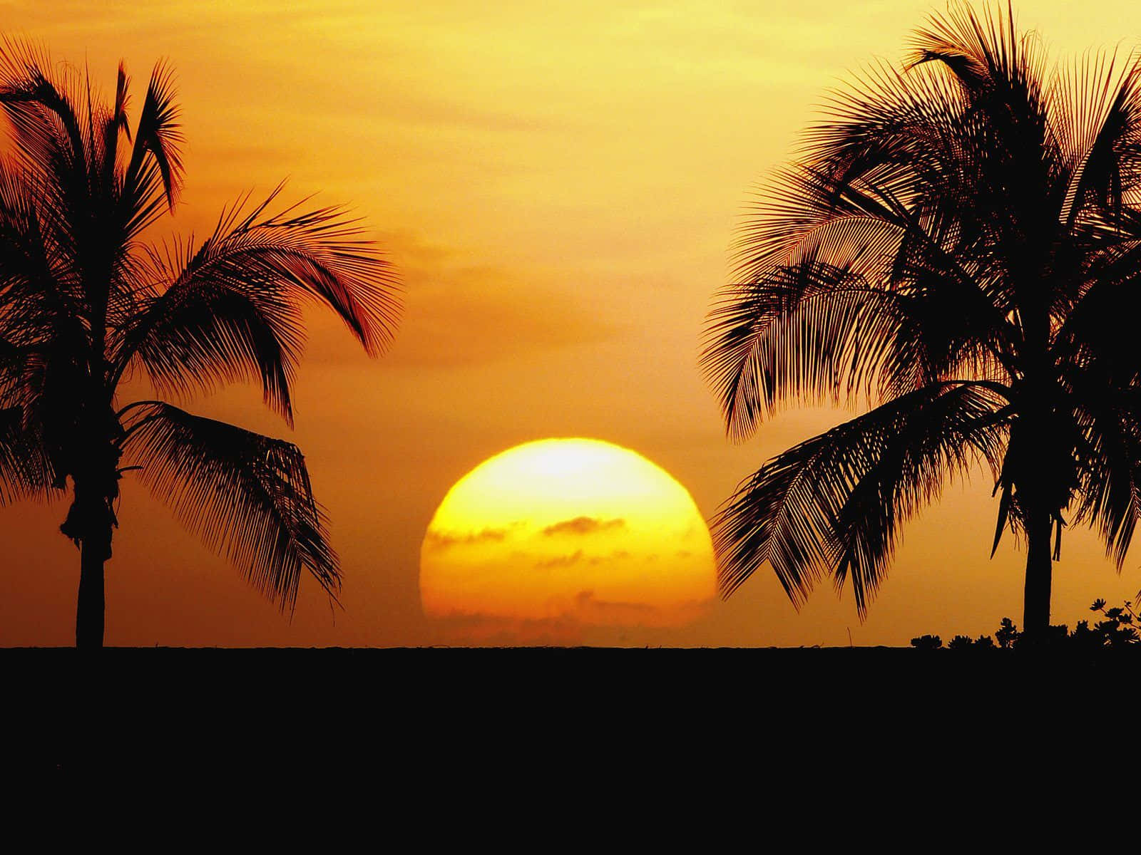 Farver i Paradis, Hawaii-solnedgang. Wallpaper