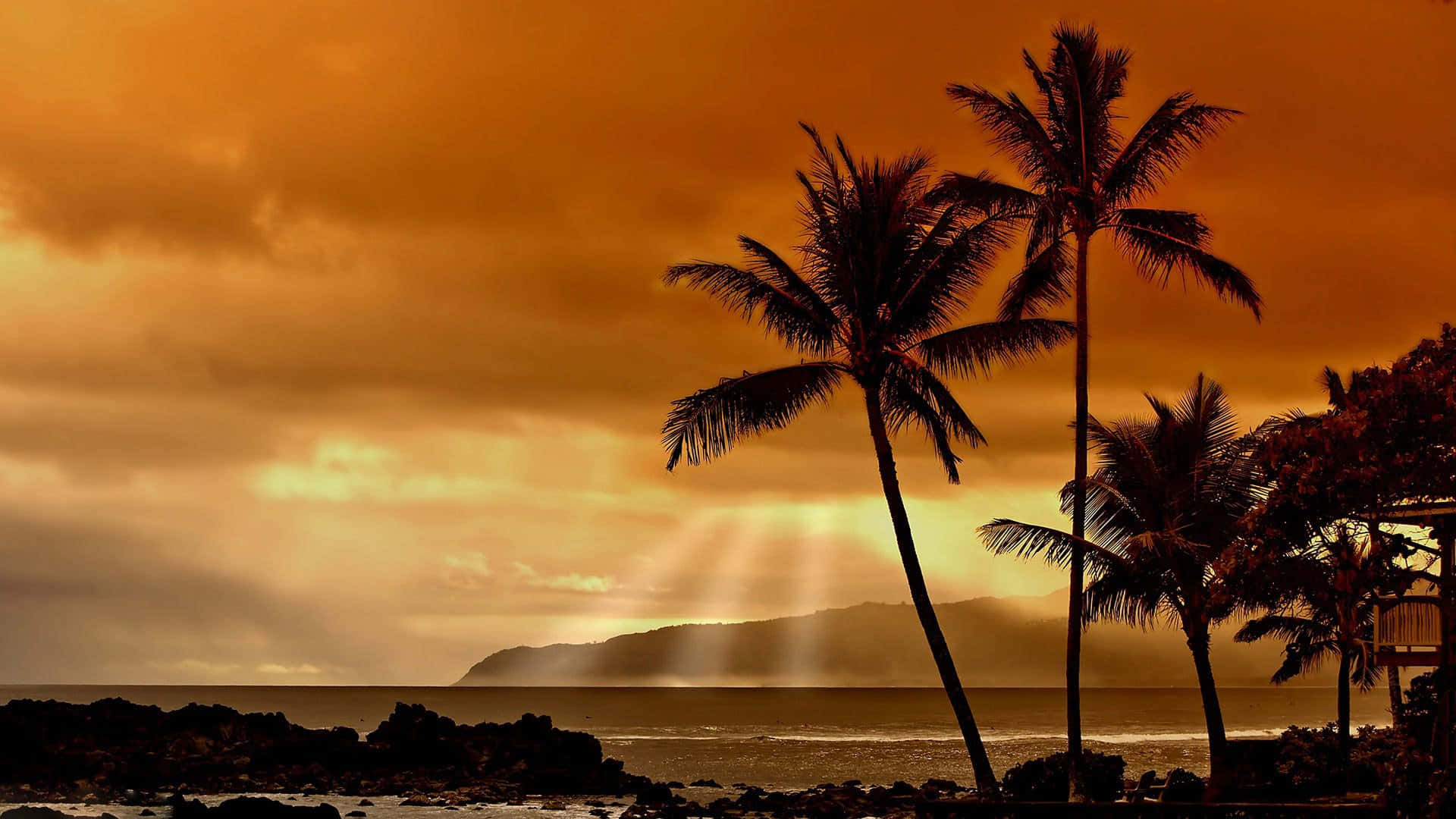 Hej!njut Av Solnedgången På Hawaii - En Idyllisk Paradis. Wallpaper