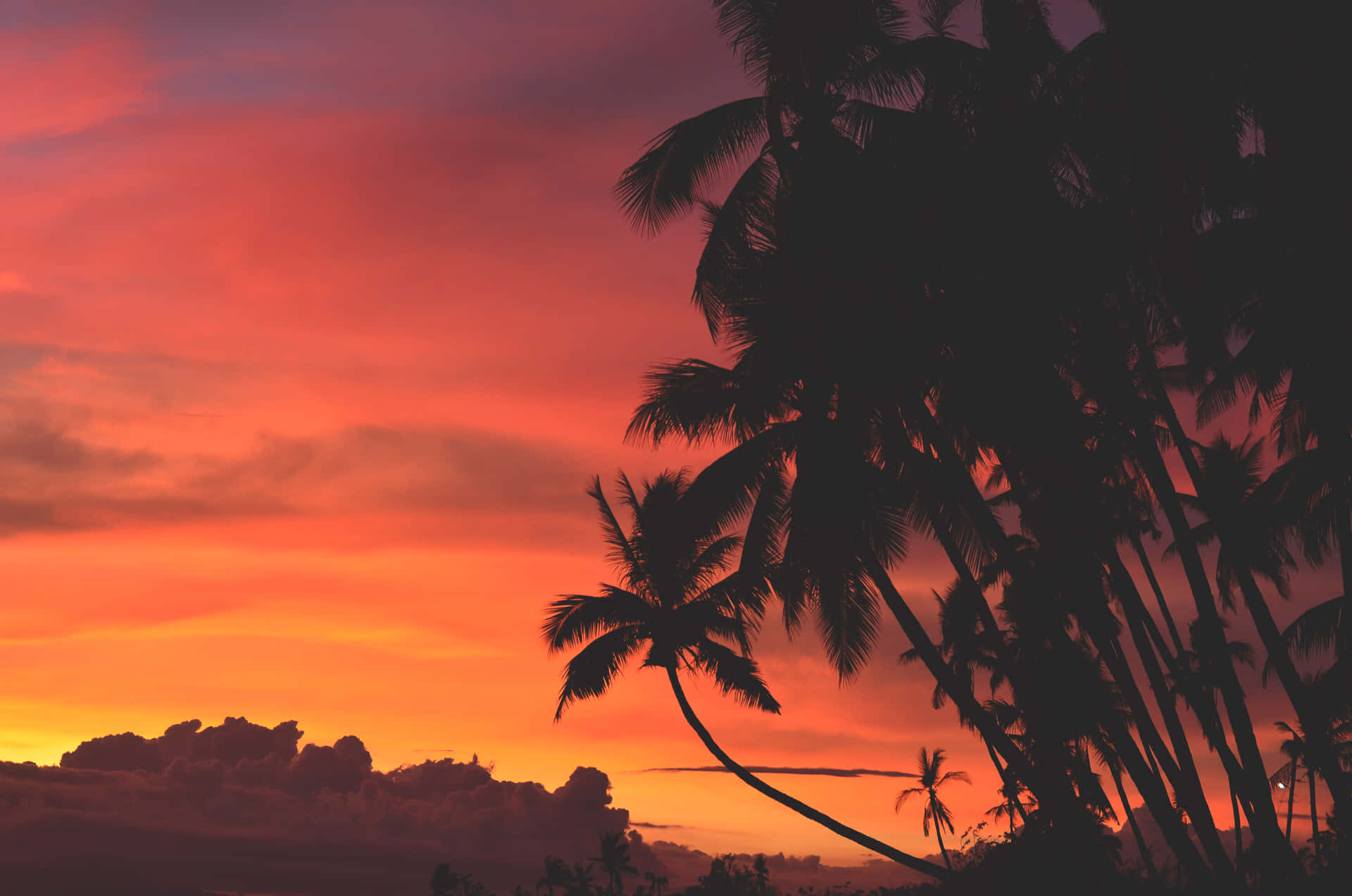 Njutav Oändlig Skönhet Vid Solnedgången På Hawaii. Wallpaper