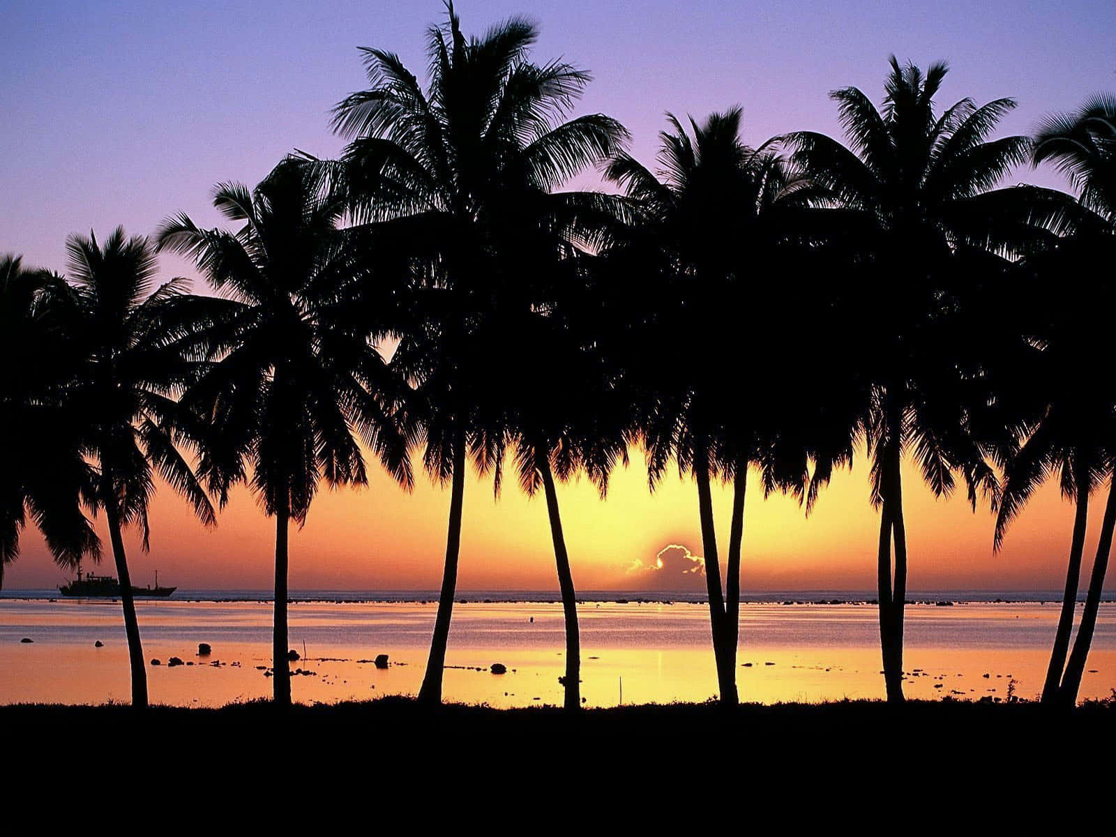 Disfrutade Una Tranquila Puesta De Sol Hawaiana. Fondo de pantalla
