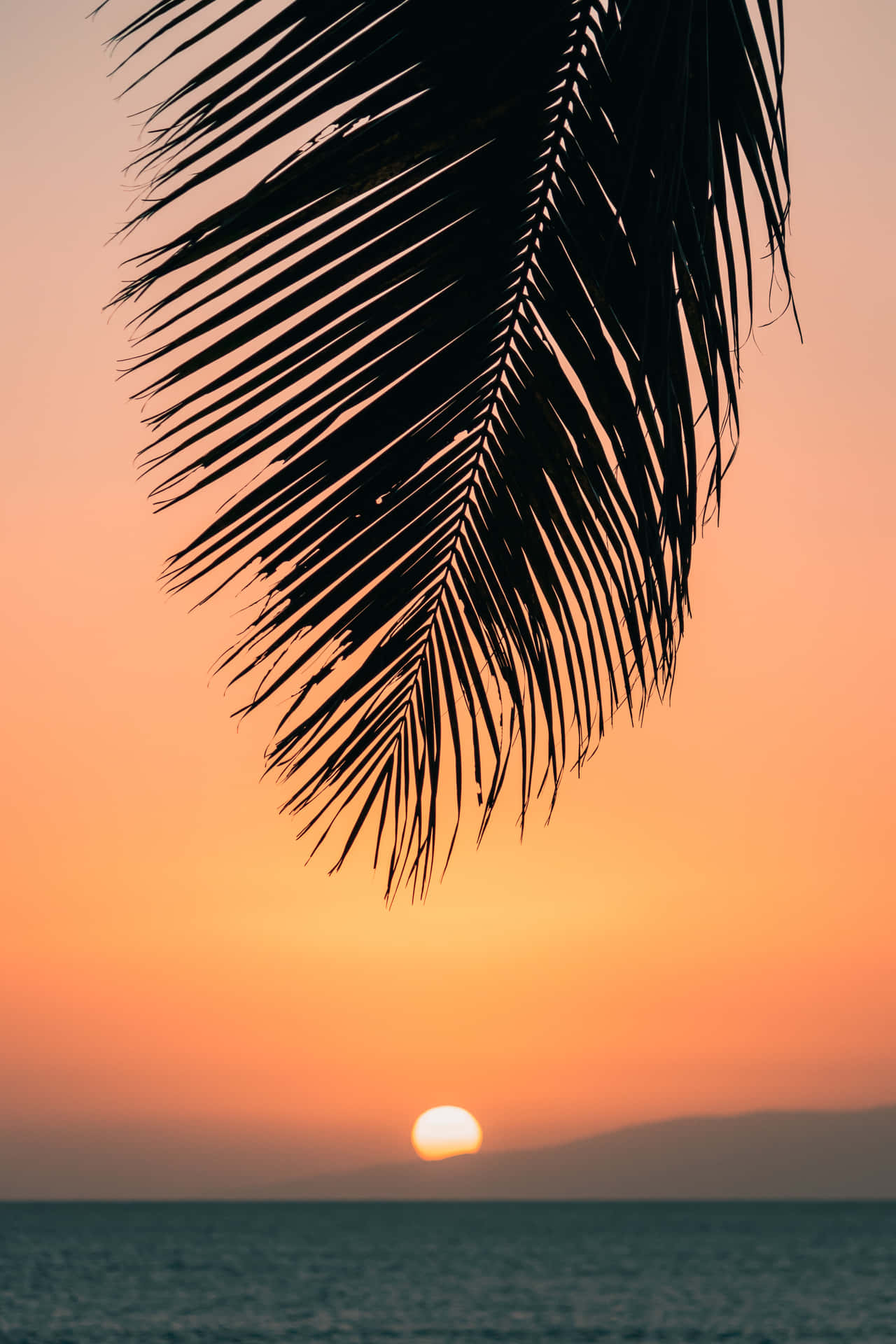 Nyd et smukt hawaiisk solnedgång. Wallpaper