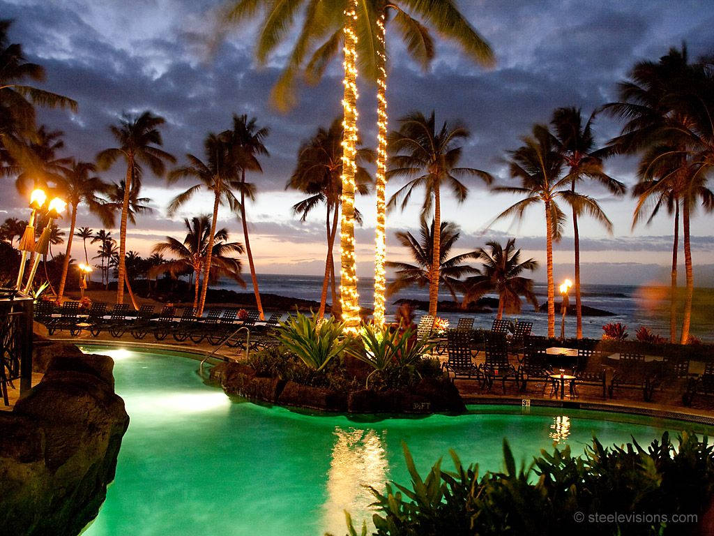 Hawaii Tropical Beach Resort