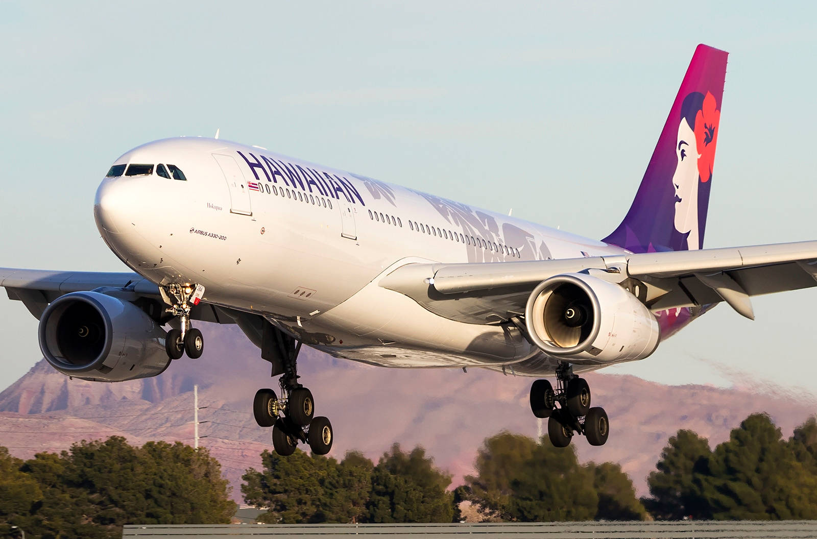 Hawaiian Airlines Plane In Close-up Wallpaper