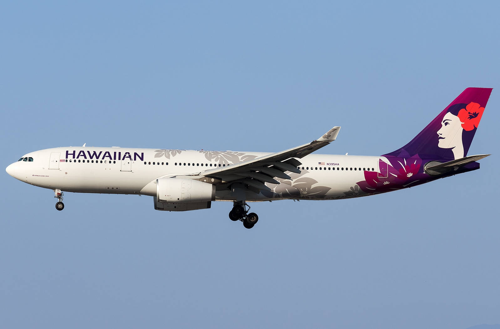 Hawaiianairlines Flygplan På En Molnfri Himmel. Wallpaper