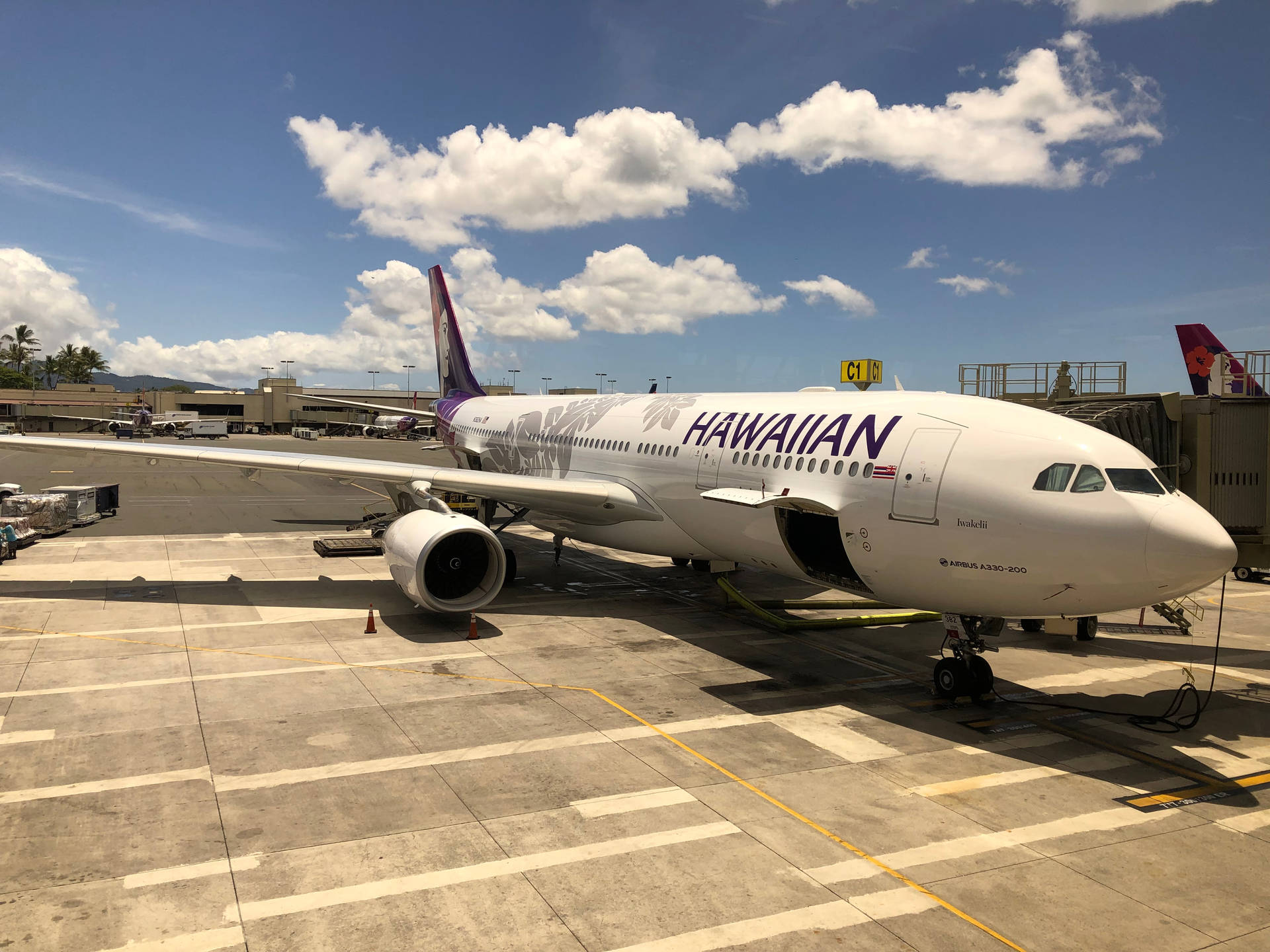 Hawaiian Airlines Plane Out In The Sun Wallpaper