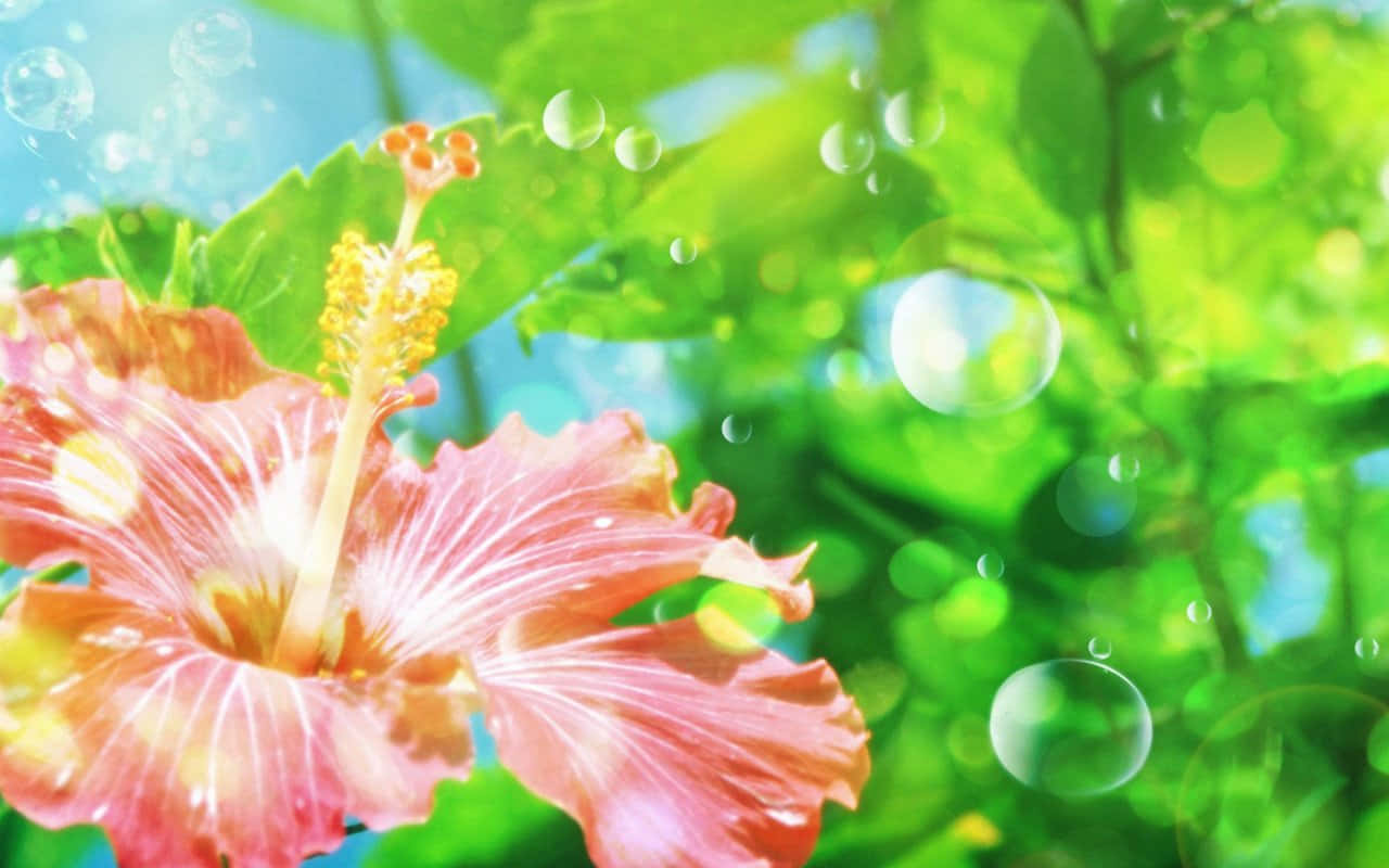 Animated Pink Hibiscus In Hawaiian Background