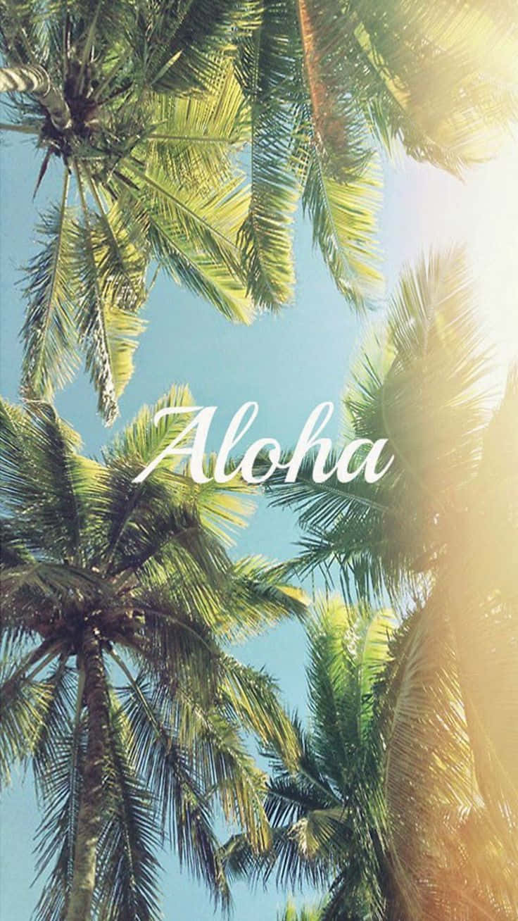 Aloha Coconut Tree In Hawaiian Background
