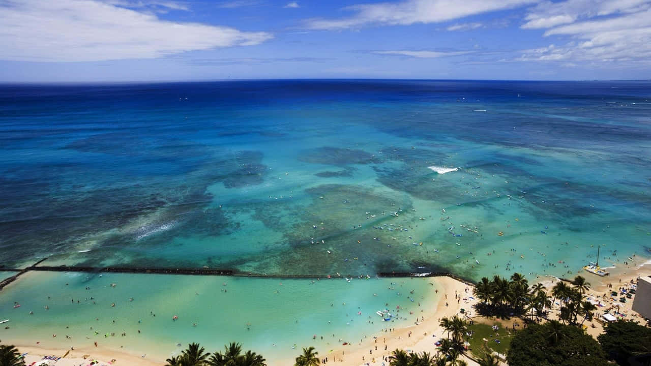 Aerial Beach Hawaiian Background
