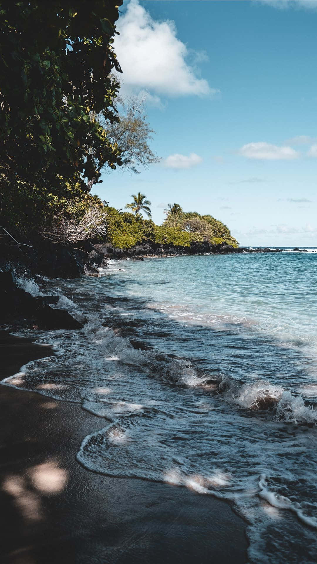 Seaside In Hawaiian Background
