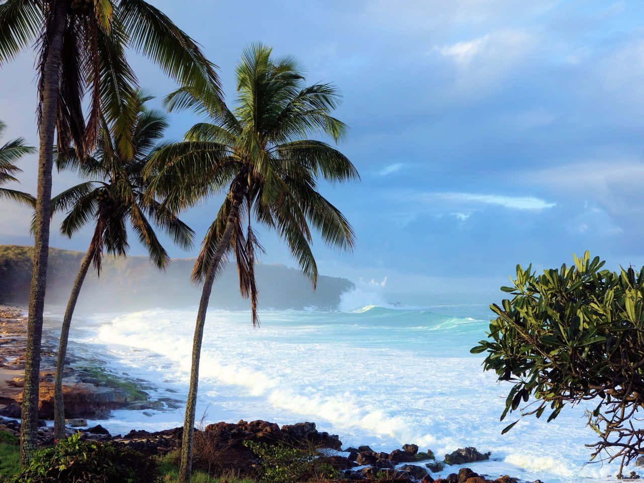 Robust Wave In Hawaiian Background