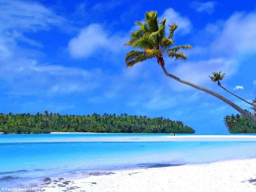 Espectacularvista De Una Playa En Hawái Con Aguas Serenas Y Palmeras Fondo de pantalla
