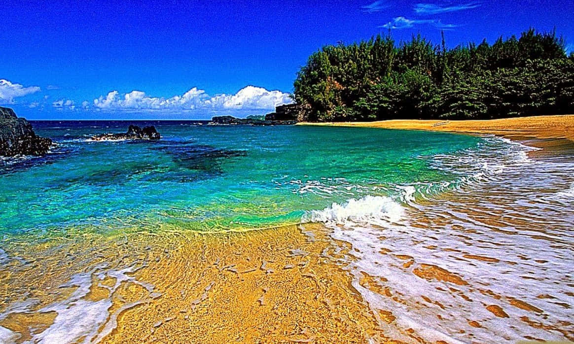 Caption: Idyllic Hawaiian Beach Escape Wallpaper