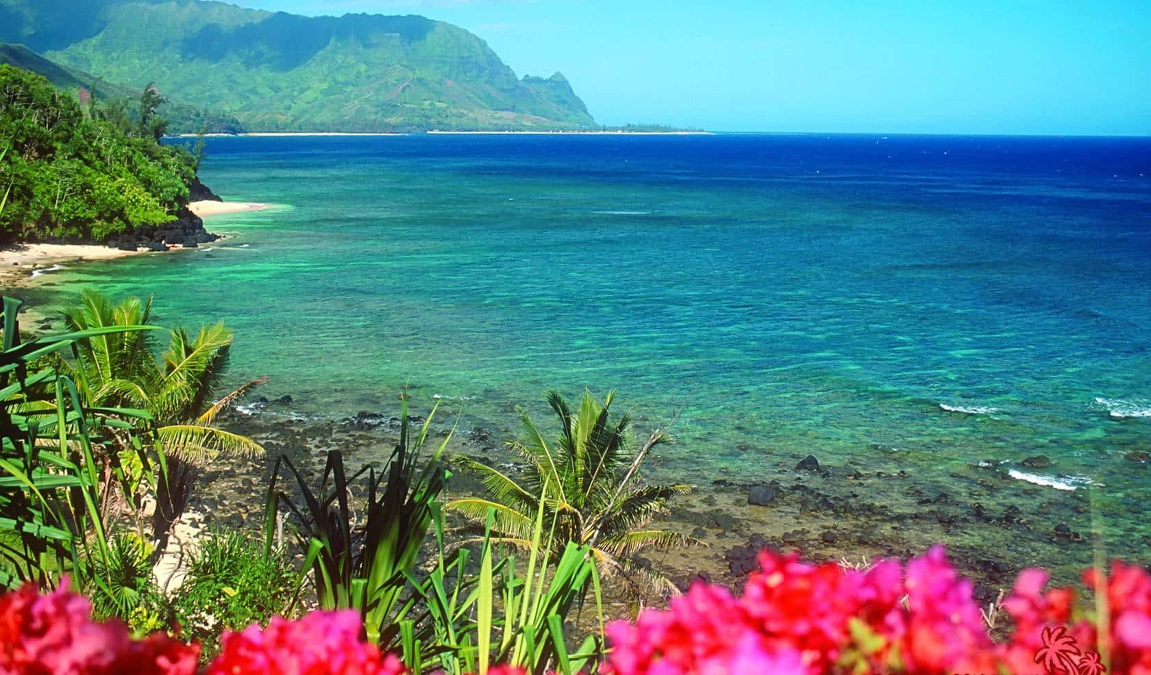 Fondode Pantalla De Playa Hawaiana 1680 X 986 Fondo de pantalla