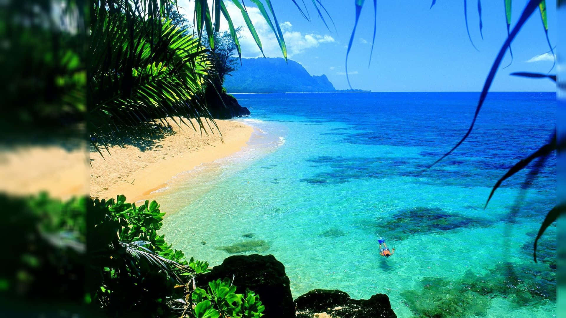 Idyllic Hawaiian Beach Paradise Wallpaper