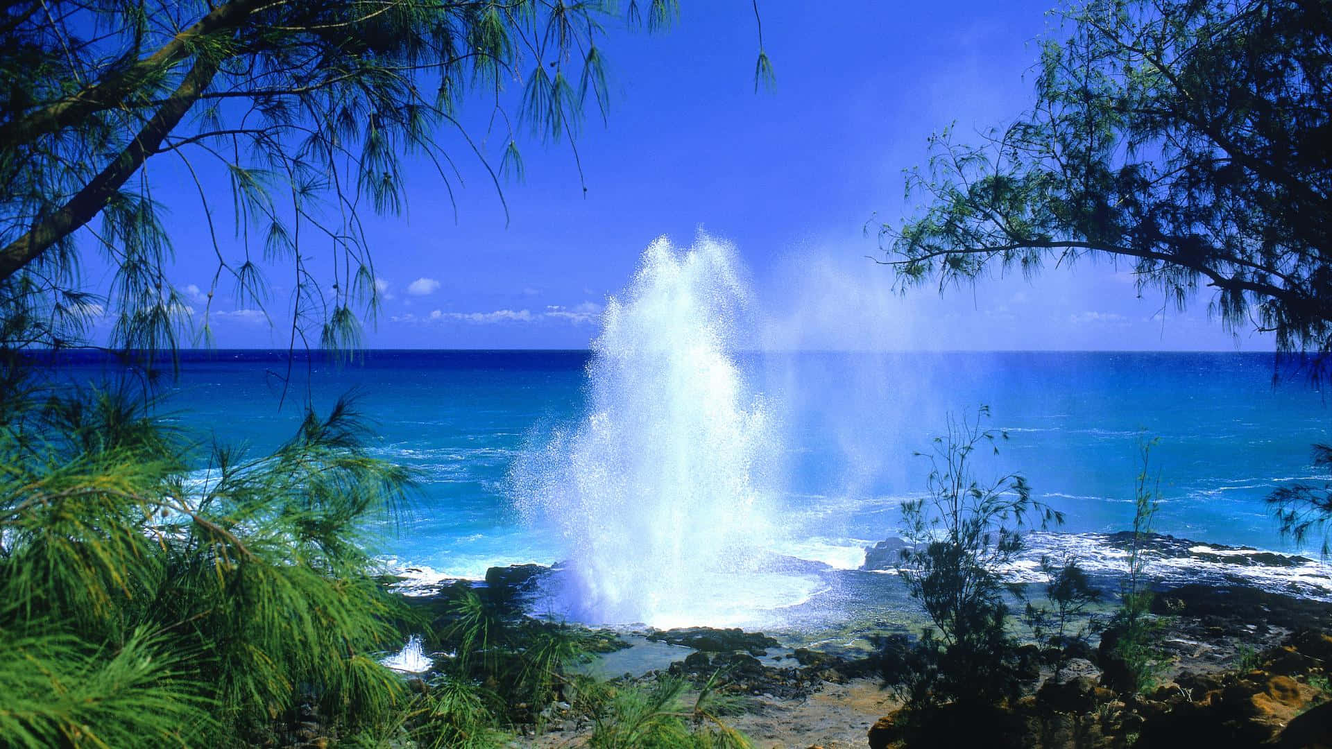Paraísotropical: Paisaje De Playa Hawaiana Fondo de pantalla