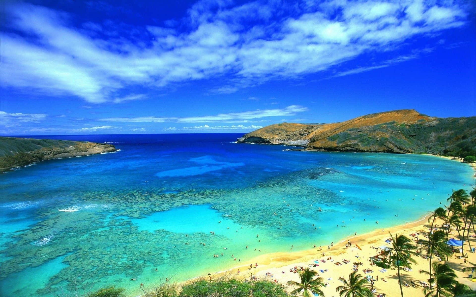 Increíblevista De La Playa Hawaiana Al Atardecer Con Palmeras Y Agua Cristalina Fondo de pantalla