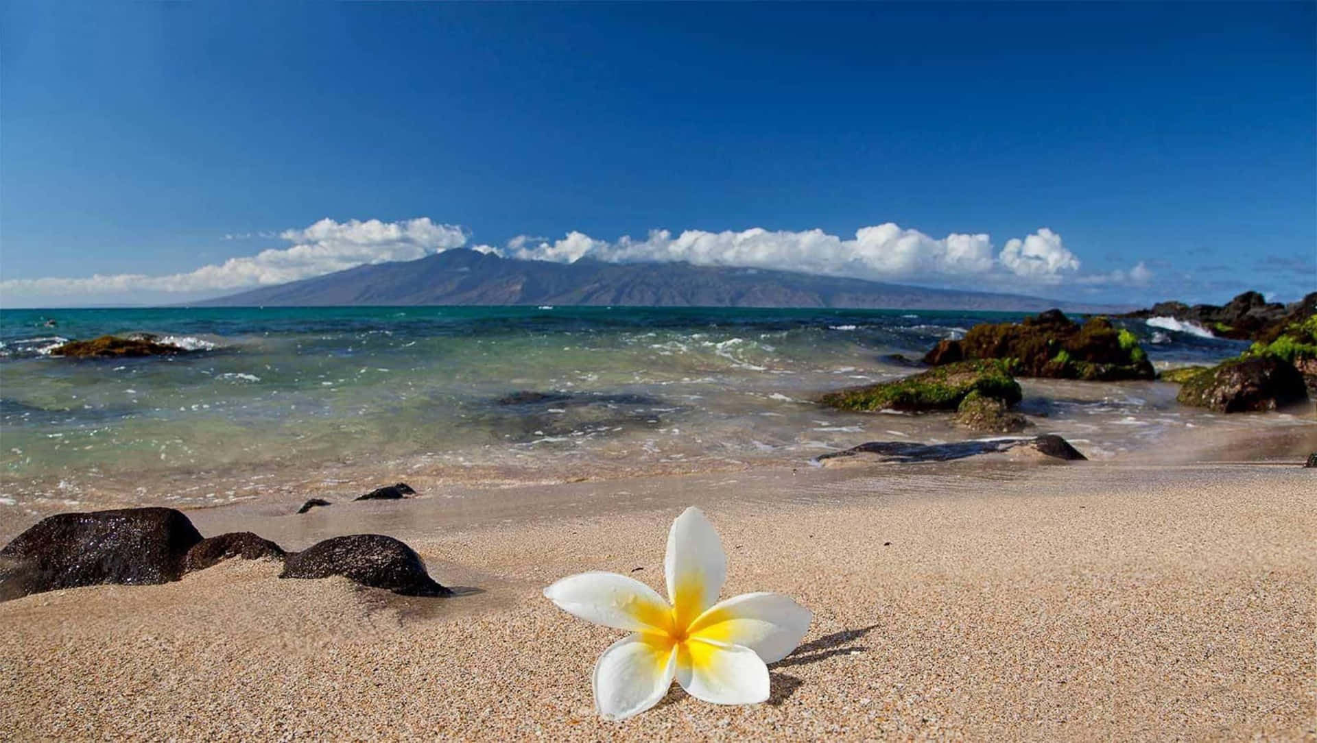 Unaimpresionante Vista De Una Playa Hawaiana Durante El Atardecer Fondo de pantalla