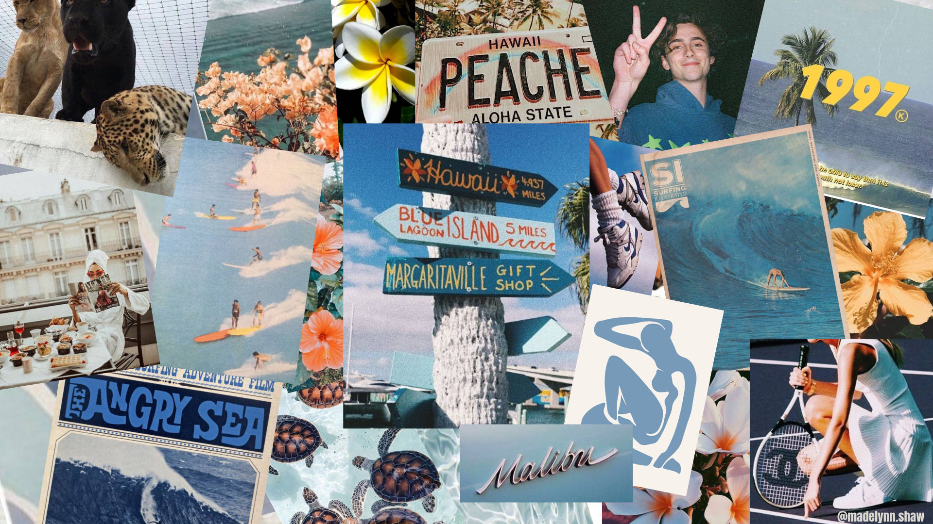 Hawaiian Beach Vibe Collage Wallpaper