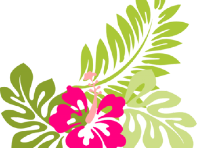 Hawaiian Hibiscus Floral Design PNG
