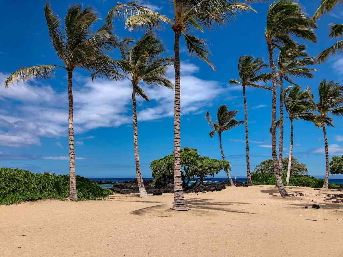 Breathtaking sunset over a tranquil Hawaiian Island beach Wallpaper