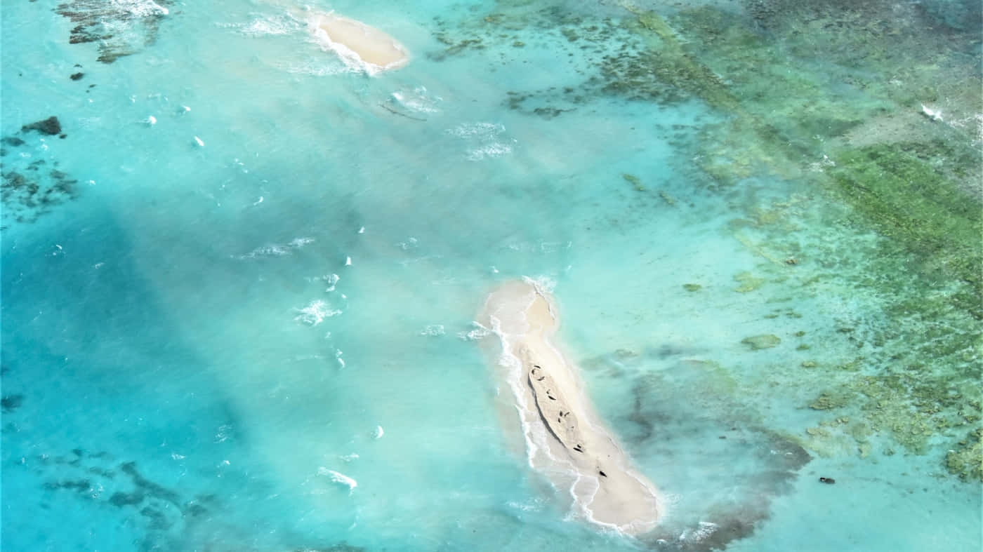 Serenooasis En Una Isla Hawaiana. Fondo de pantalla
