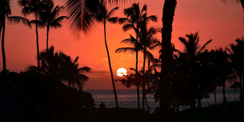 Hawaiipastellorange Solnedgångsbilder.