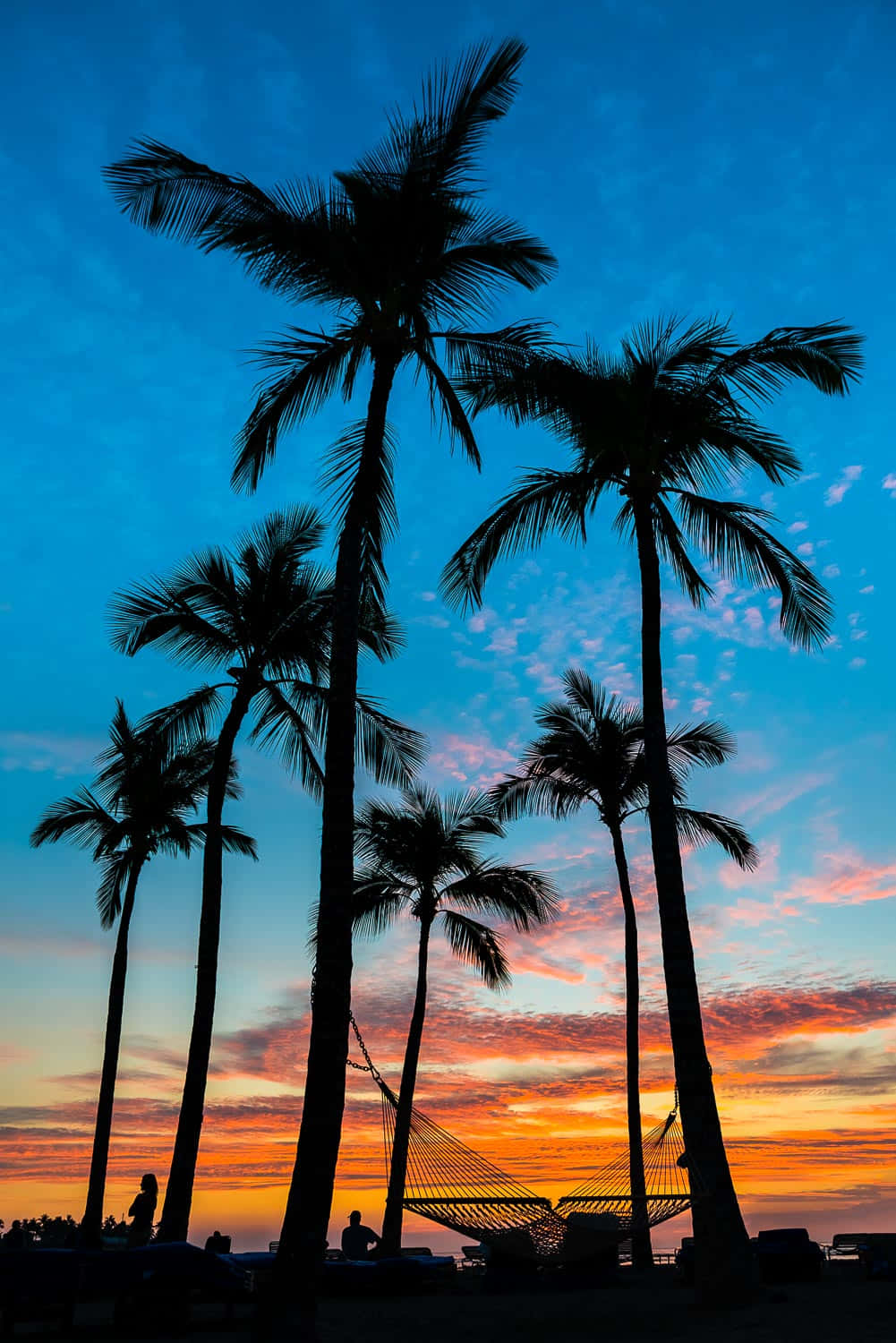Hawaiiansktblått Och Orange Solnedgångsbilder Med Palmträd.