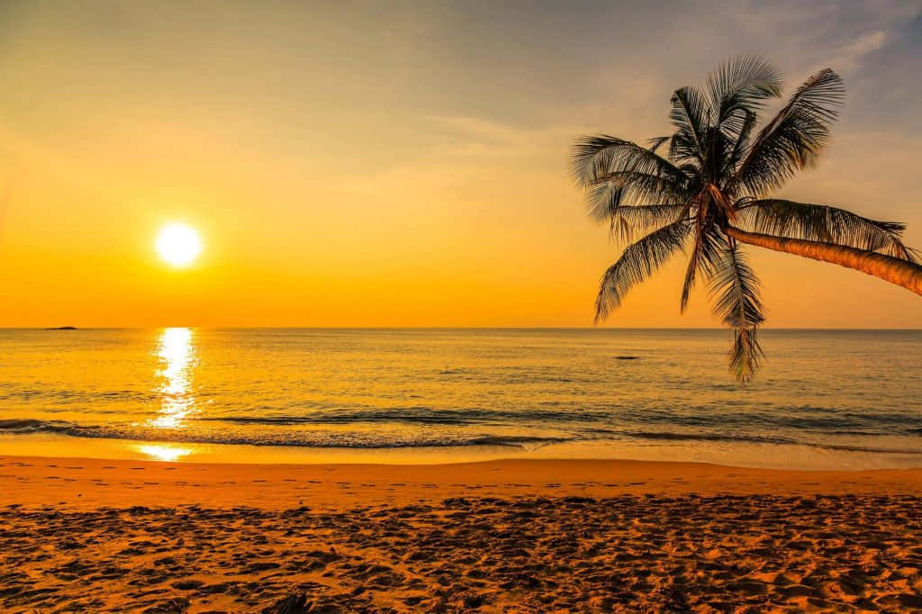 Hawaiian Yellow Sunset Pictures