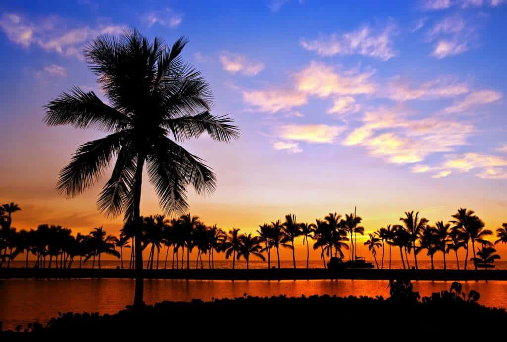 Immaginidel Tramonto Hawaiano Con Silhouette Di Palme.