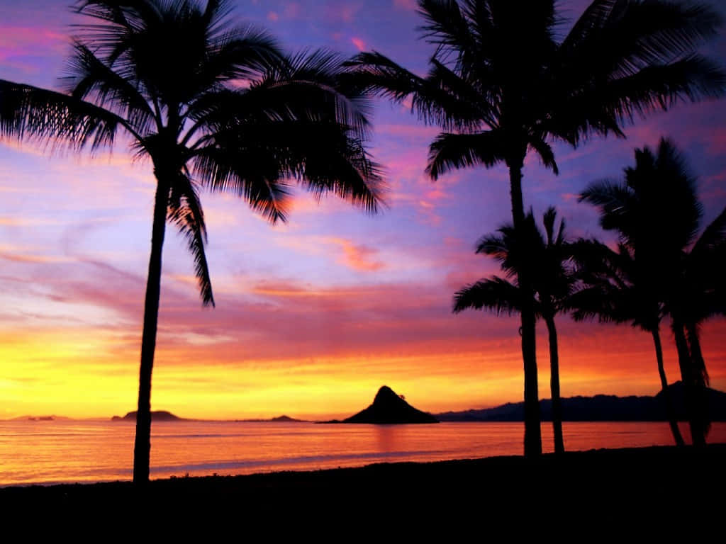 Imagensdo Pôr Do Sol Hawaiano Em Roxo E Laranja Para Papel De Parede De Computador Ou Celular.
