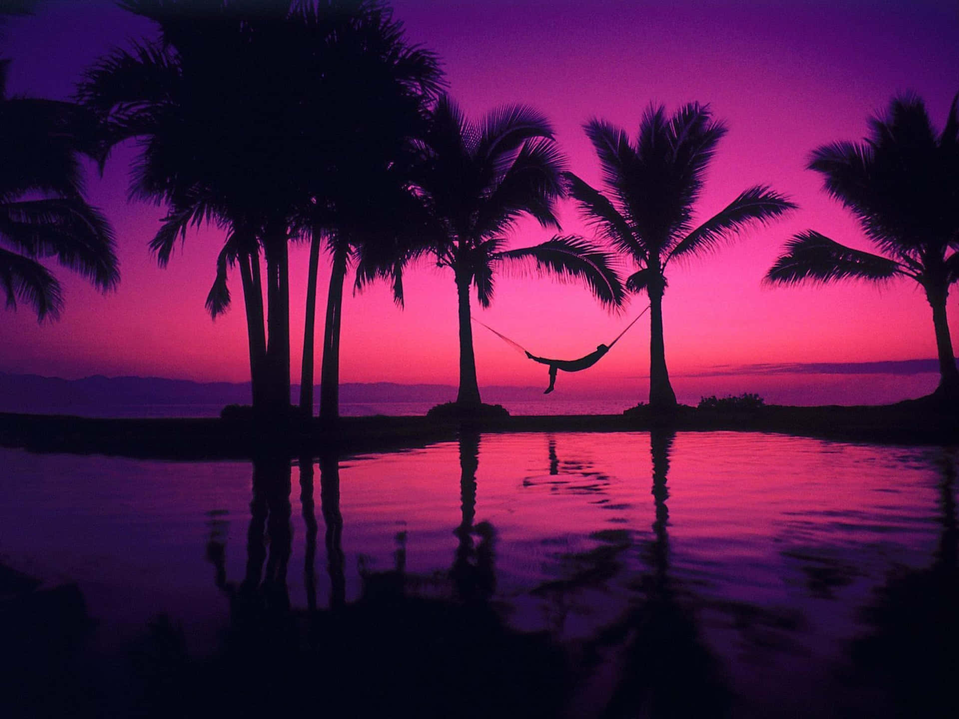 Hawaiianfuchsia Rosa Sonnenuntergang Bilder