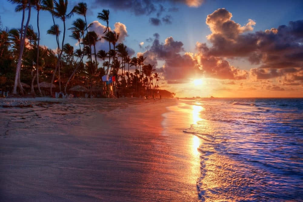 Hawaiiansunset Strandansicht Bilder