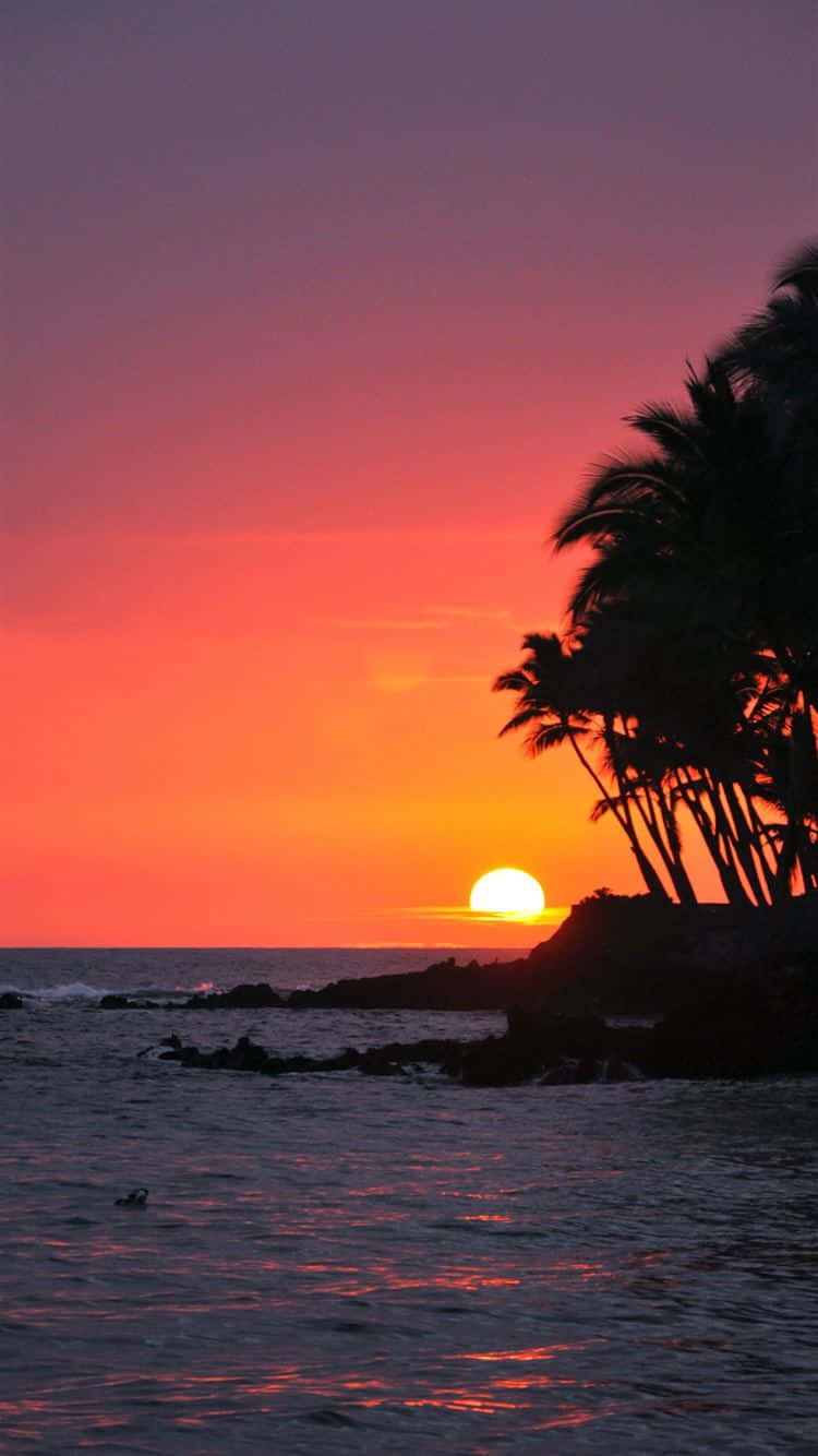 Fotosda Costa Havaiana Com Gradiente Rosa Do Pôr Do Sol.