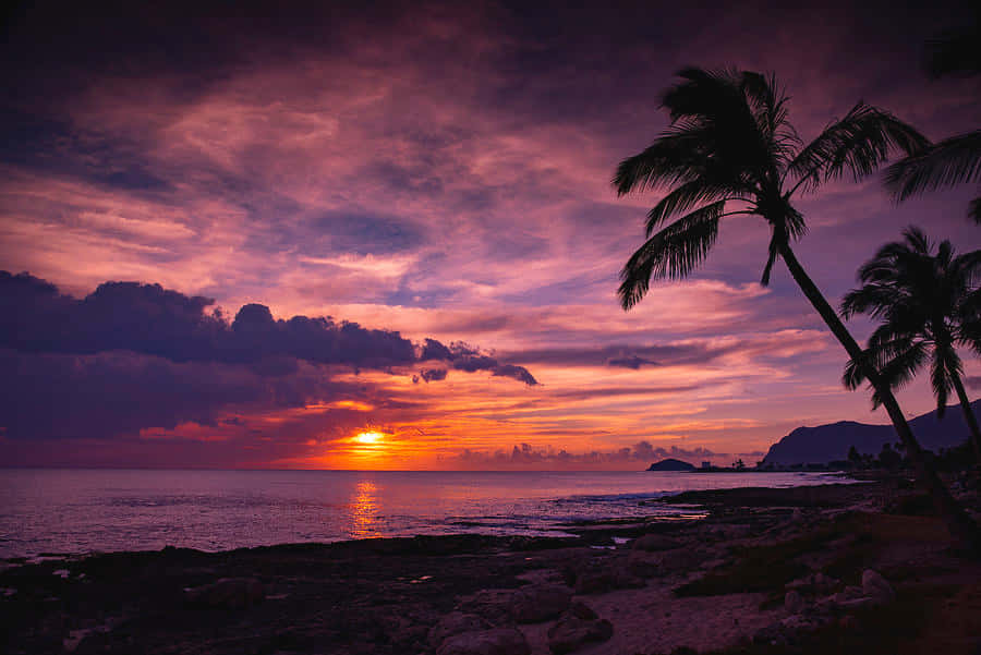 Hawaiian Sunset Pictures 900 X 601