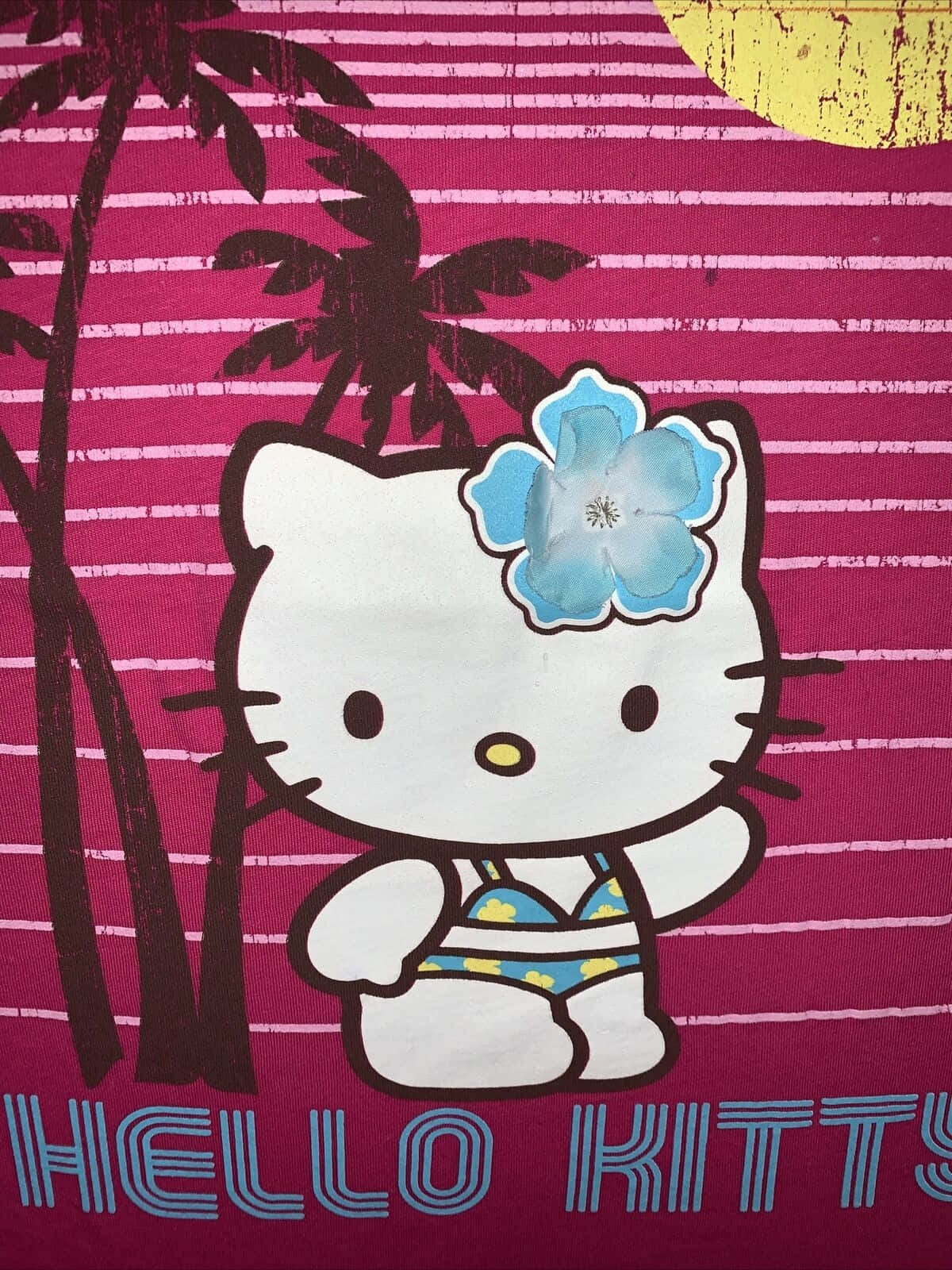 Hawaiian Theme Hello Kitty Wallpaper