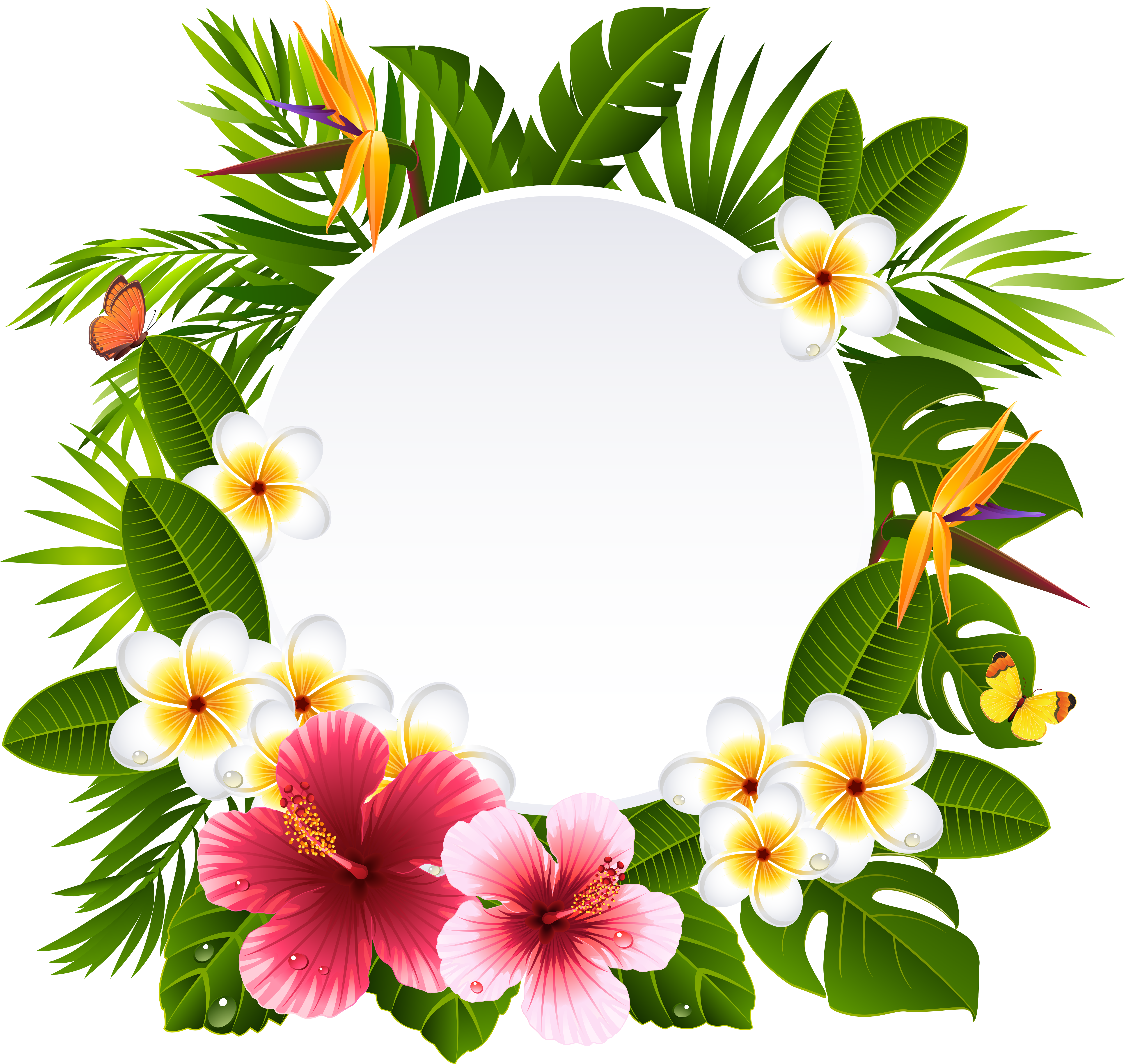 Hawaiian_ Floral_ Frame_ Vector PNG