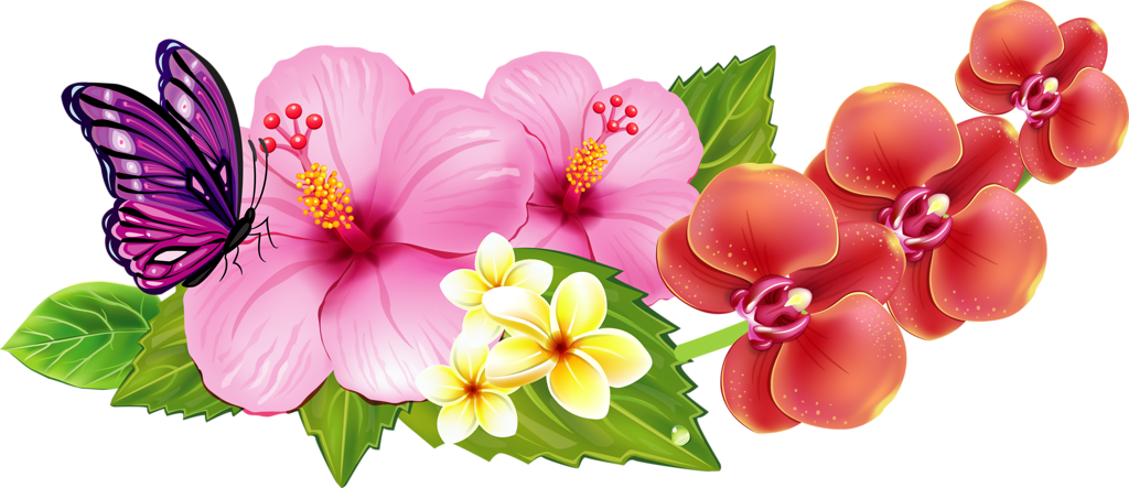 Hawaiian_ Flowers_and_ Butterfly PNG