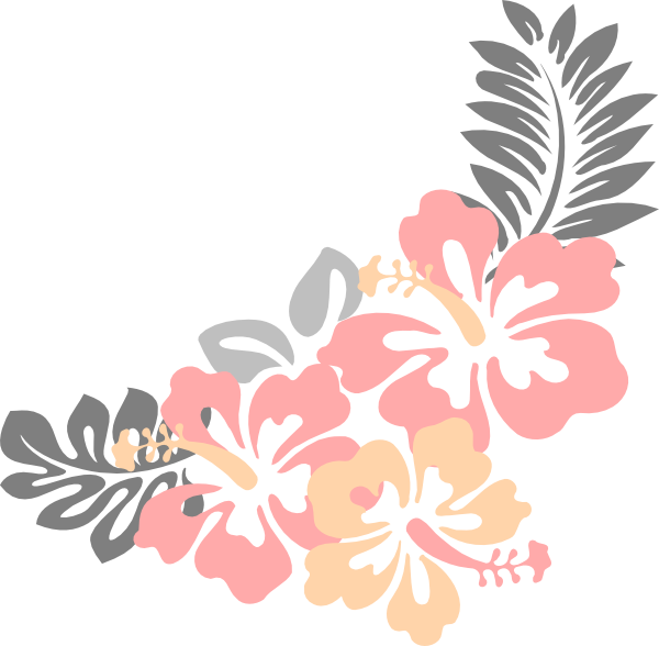 Hawaiian_ Hibiscus_ Floral_ Illustration PNG