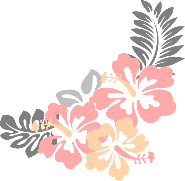 Download Hawaiian Hibiscus Floral Illustration