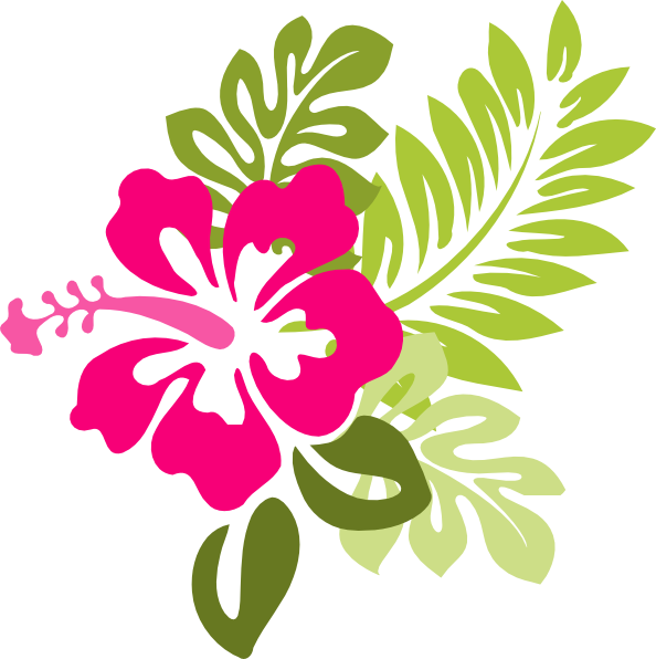 Hawaiian_ Hibiscus_ Floral_ Vector PNG