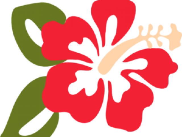 Hawaiian_ Hibiscus_ Flower_ Illustration PNG