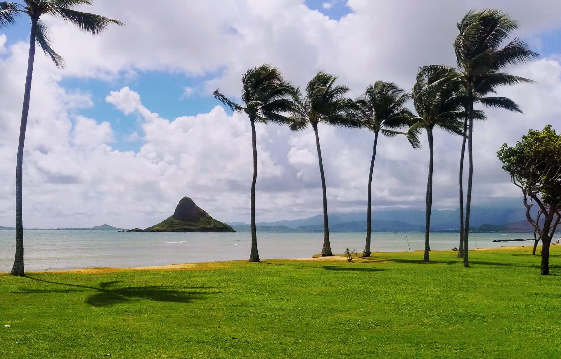 Hawaiibilder.