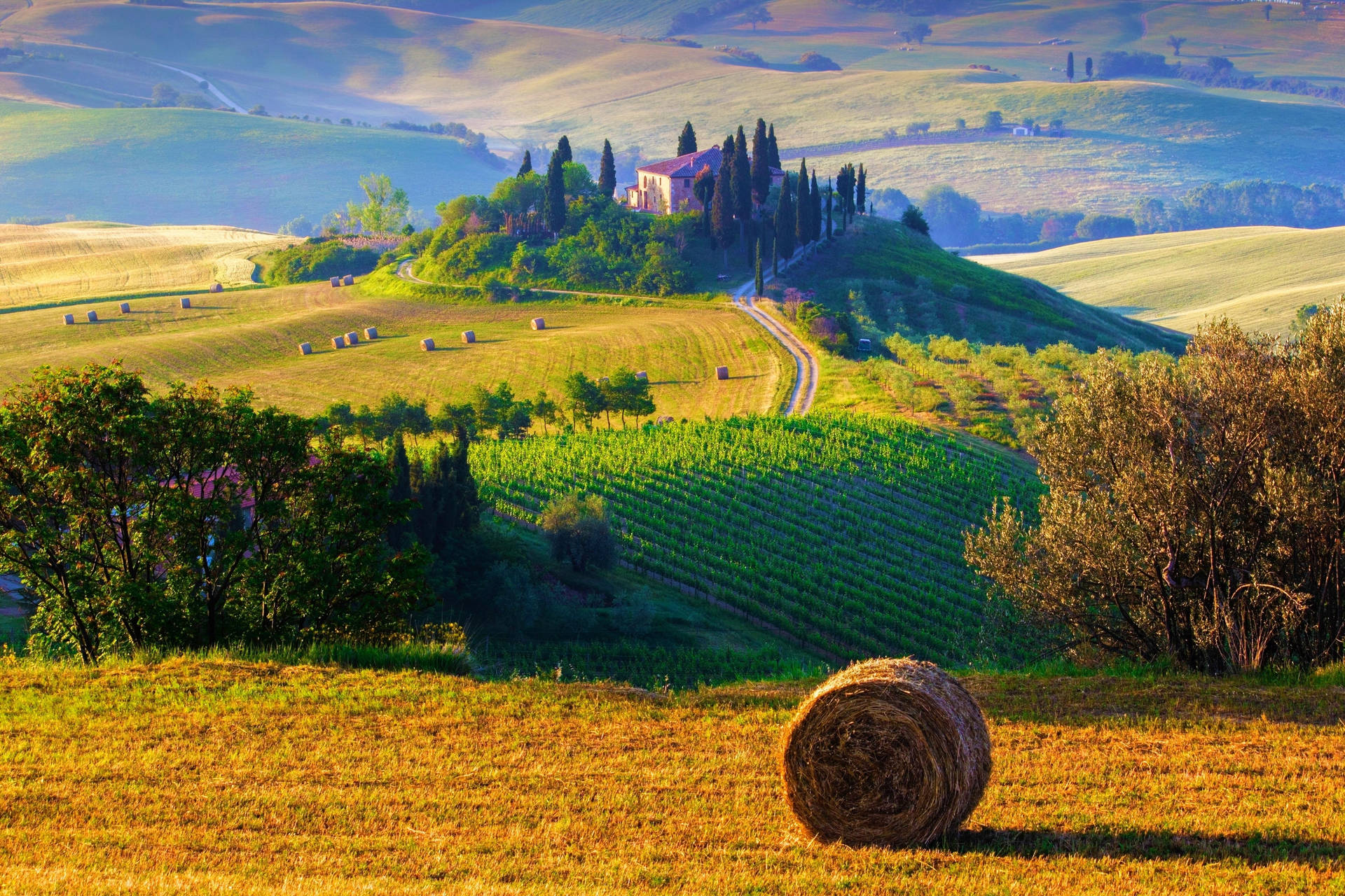 Hay Bale On Tuscany Hill Wallpaper