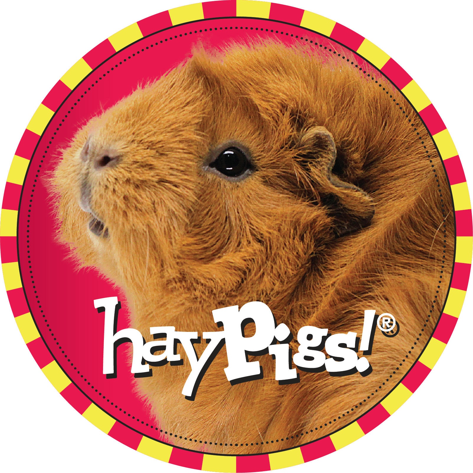 Hay Pigs Guinea Pig Circle Logo PNG