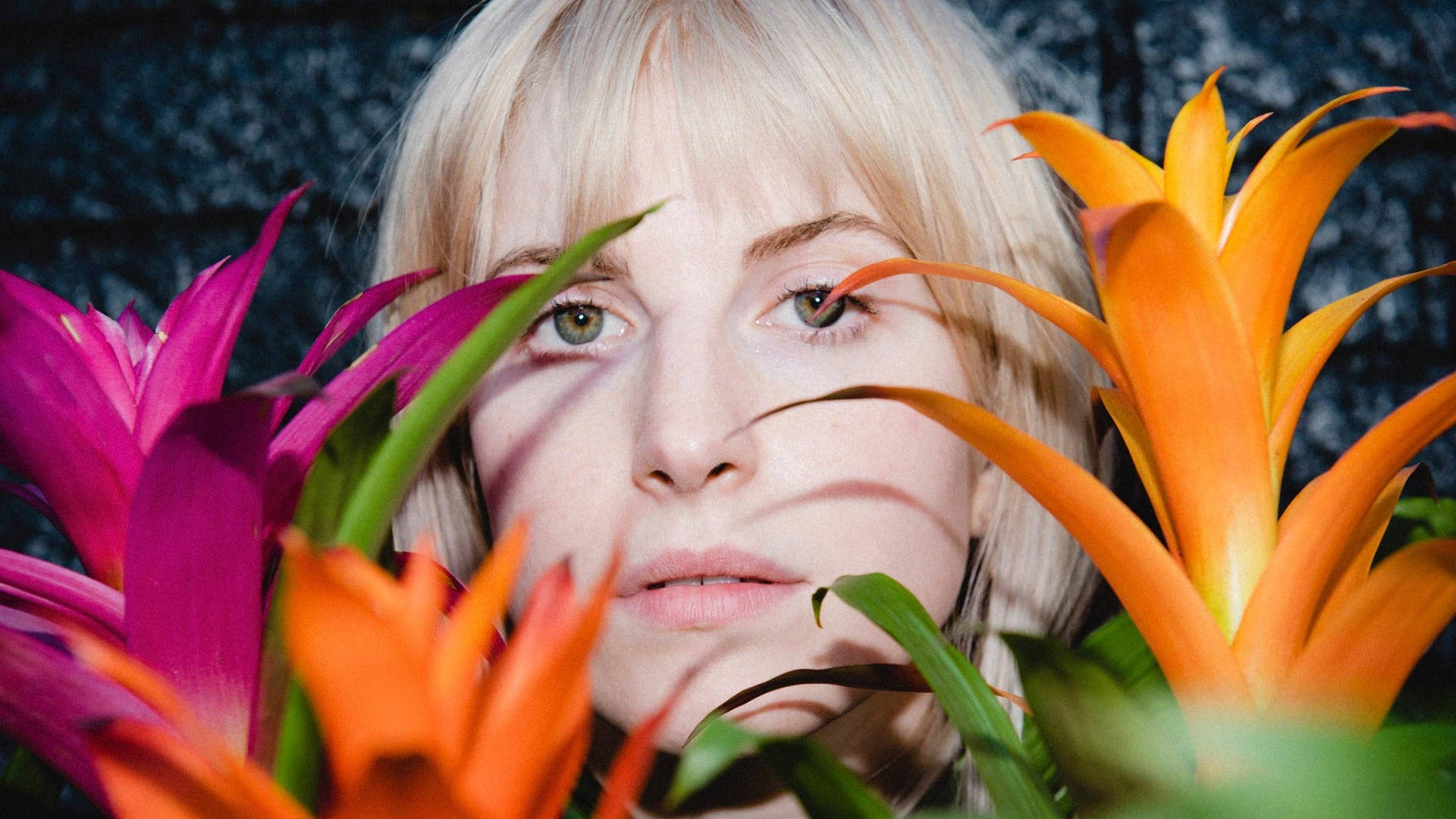 Hayley Williams In Petals For Armor Background