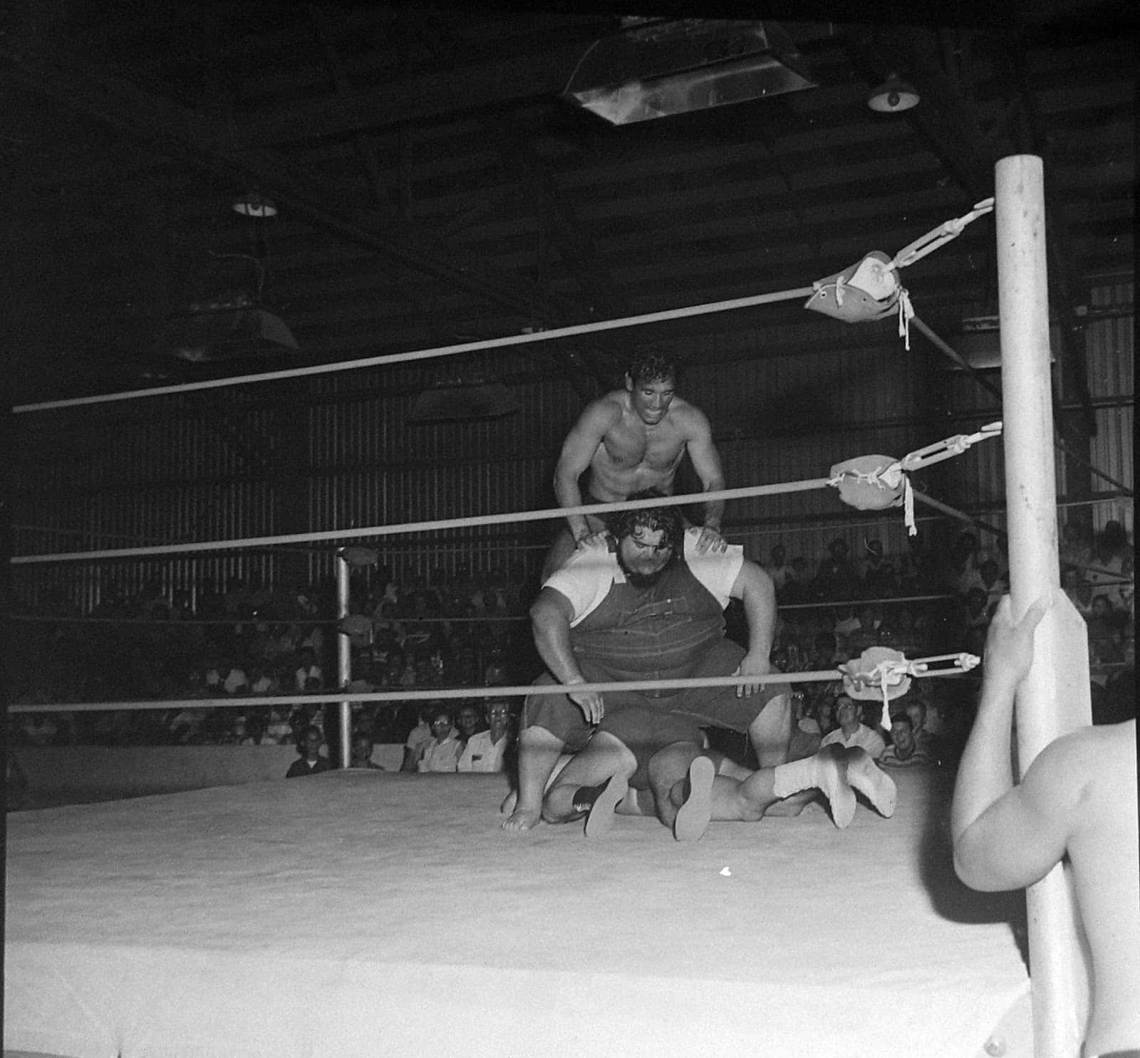 Haystacks Calhoun Versus Three Wrestlers In 1963 Fairgrounds Expo Wallpaper